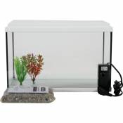 Zolux - Kit aquarium avec filtre et décoration Nanolife