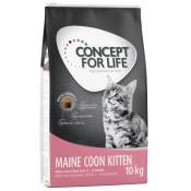 2x10kg Maine Coon Kitten Concept for Life - Croquettes