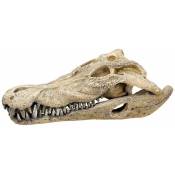 Aqua deco crâne de crocodile 260x140x90mm