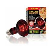 Exo lamp infrared a vis 100w