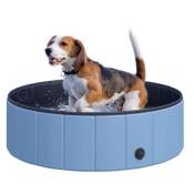 Piscine pour chien bassin PVC pliable anti-glissant