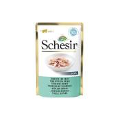 Schesir - 0103202 Cat Thon avec Brasse, 50 g (8005852617620)