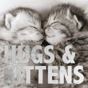 Carte n/b Chatons 'Hugs & Kittens'. 15x15 cm Magnet & Steel