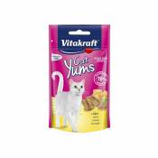 Cat yums fromage 40 g