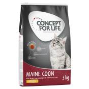 Concept for Life Maine Coon Adult pour chat - 3 kg