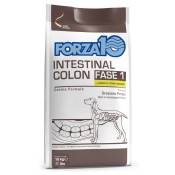 Forza 10 Intestinal Colon Phase 1 agneau pour chien - 2 x 10 kg