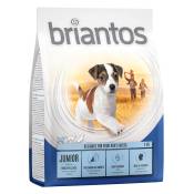 Offre d'essai : croquettes Briantos 1 kg pour chien - Junior