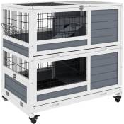 Pawhut - Clapier cage lapin sur roulettes - 2 niveaux, 2 plateaux, 3 portes, rampes - bois sapin gris blanc - Gris
