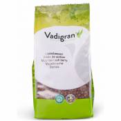 Vadigran - Graines pour oiseaux baie de sorbier 0.5Kg Multicolor
