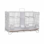 Birdhouse Pour Perroquet Villa cage d'élevage Maison