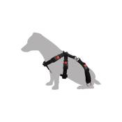 Harnais de sécurité pour voiture - Taille S / 35-50 cm pour chien