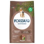 Lot Forza10 pour chien - Medium Maintenance agneau, riz (2 x 12 kg)