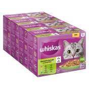 Whiskas 1+ 96 x 85 g pour chat - Sélection mixte en