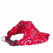 Doogy Classic - Collier chien bandana star rouge Taille : T2