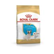 Royal Canin - Bouledogue Français Junior Croquettes pour chiens 3 kg