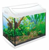 Tetra 211957 AquaArt Aquarium pour crevettes Set Complet