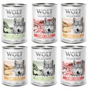 6x400g Adult “Expedition” Wolf of Wilderness Lot