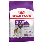 15kg Giant Adult Royal Canin Size - Croquettes pour chien