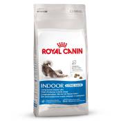 2x10kg Indoor Long Hair Royal Canin - Croquettes pour Chat