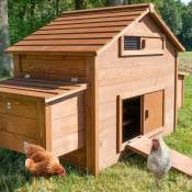 Poulailler en bois pour jardin extérieure cage canard