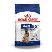 Royal Canin - Croquettes Chien Maxi Mature : 4 kg