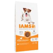 12kg IAMS Advanced Nutrition Adult Small & Medium poulet