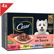 Cesar - 48 Sachets fraîcheur en sauce 4 variétés pour chien 100g (4x12)