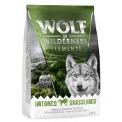 Offre découverte Croquettes Wolf of Wilderness sans céréales pour chien - Elements Untamed Grasslands, cheval - mono-protéine (300 g)
