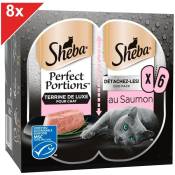 Perfect Portions 48 Barquettes terrine au saumon pour chat 37,5g (8x6) - Sheba