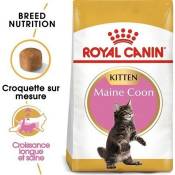 Royal Canin Maine Coon Kitten pour chaton 4 kg
