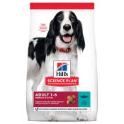 2x12kg Adult 1-6 Medium thon riz Hill's Science Plan Croquettes pour chien