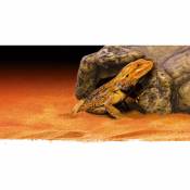 Exoterra - Cachette pour reptile - Grotte Tres Grand