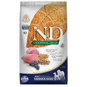 12kg Farmina N&D Ancestral Grain Adult Medium & Maxi agneau, myrtilles - Croquettes pour chien