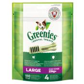 170g Friandises Greenies Soin dentaire Large - Friandises