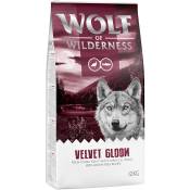 Wolf of Wilderness Velvet Gloom dinde, truite - sans céréales pour chien - 12 kg