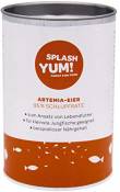SplashYum! Artemia œufs 95% de taux d'éclosion (50g)