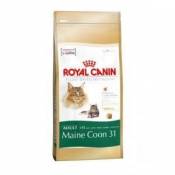 Feline Nutrition Maine Coon 31 - Royal Canin