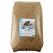 Graines, alimentation oiseaux exotique nutrimeal -