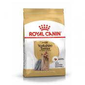Royal Canin Yorkshire Terrier Adult - Croquettes pour chien-Yorkshire Terrier Adulte