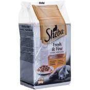UNKNOWN Sheba Fresh Fine Sachet - Nourriture humide pour chat en sauce au poulet et à la dinde (4770608255763)