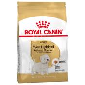 3kg West Highland White Terrier Adult Royal Canin -