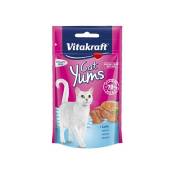 Vitakraft - Cat yums saumon 40 g