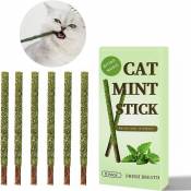 6 bâtonnets d'herbe à chat Matatabi, jouets naturels pour chat, friandises pour chat, soins dentaires