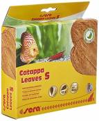 sera Catappa Leaves Taille S 10 – 15 cm 10 Unités