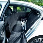 Protecteur de coffre pour chien, housse universelle de coffre de voiture:Siège arrière - Beddog