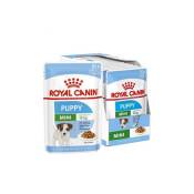 Royal Canin - Mini Puppy Lot de 4 boîtes de 12 x 85