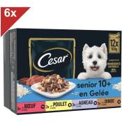 72 Sachets fraîcheur en gelée 4 variétés pour chien senior 100g (6x12) - Cesar