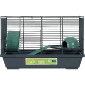 Animallparadise - Cage 50 Hamster, 50 x 28 x hauteur 32 cm, vert pour Hamster Vert