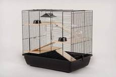 Cage pour hamster Cage pour souris Cage pour rongeurs