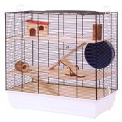 Cage Skyline Fun Area Leon, blanche pour hamster, gerbille et souris - L67xl36,5xH65cm